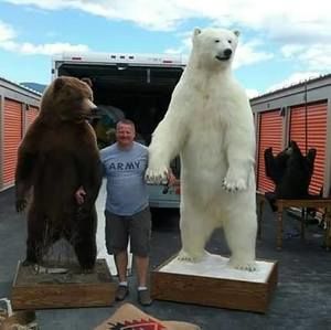 Meet your Posher, Bruce